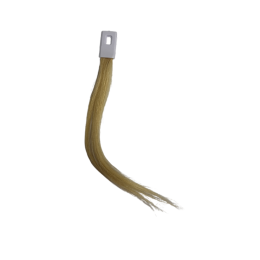 Test strips 1 pc/10 pcs