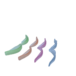 Curlers, 4 pairs 